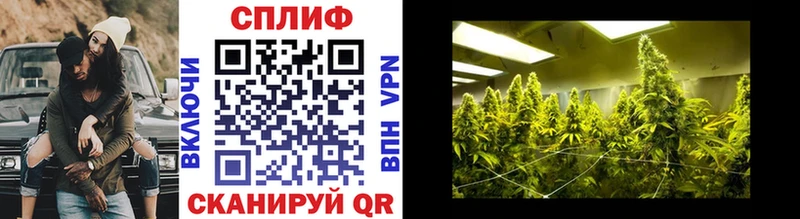 Марихуана гибрид  дарнет шоп  Великий Новгород 